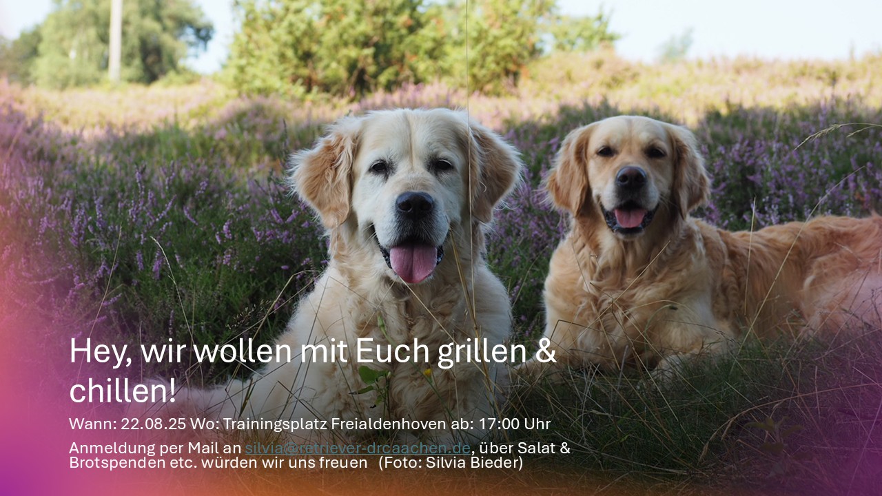 Sommerfest 2025